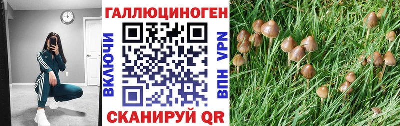 Галлюциногенные грибы мицелий  Рыбное 