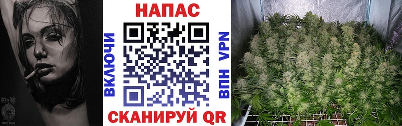 цена   MEGA   Канабис Bruce Banner  Рыбное 